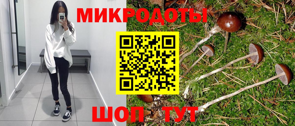 купить наркотики цена  Вход с VPN  Мариинск  Псилоцибиновые грибы мицелий 