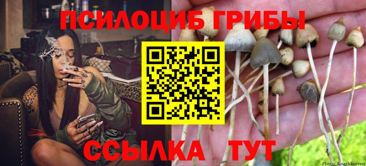 Псилоцибиновые грибы GOLDEN TEACHER Мариинск